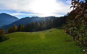 Niederstallnhof
